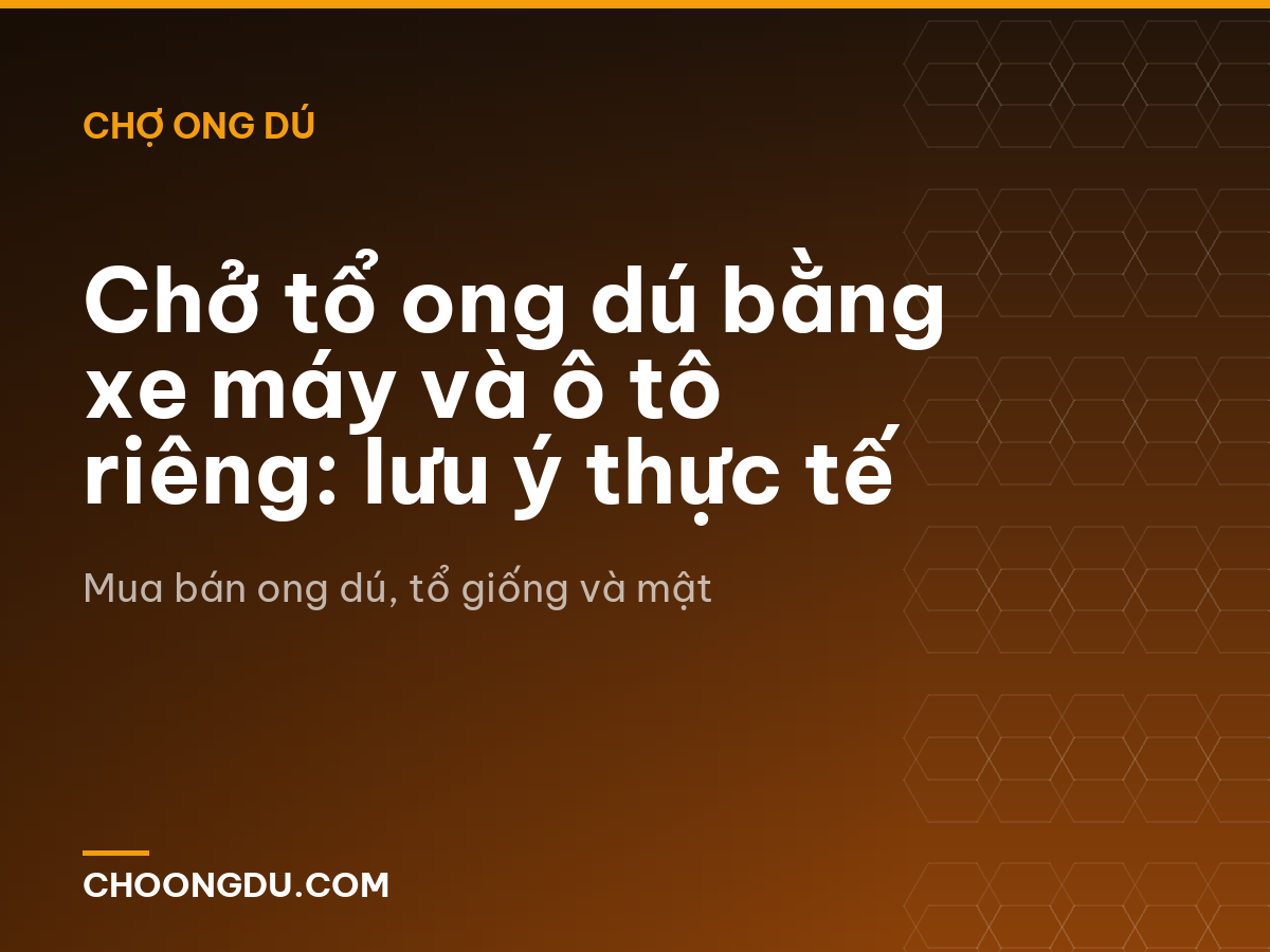Chở tổ ong dú bằng xe máy và ô tô riêng: lưu ý thực tế