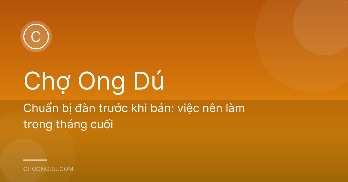 Chuẩn bị đàn trước khi bán: việc nên làm trong tháng cuối
